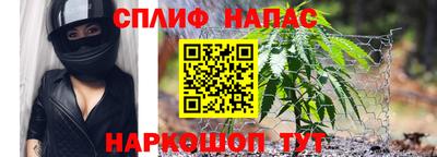 метадон Сланцы