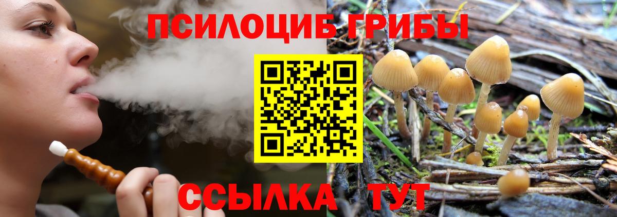 Галлюциногенные грибы мухоморы  Вход с VPN  Нефтеюганск  Псилоцибиновые грибы мицелий 